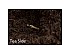 2018 “TEASIDE 0302” Ripe Pu-erh Tea Loose
